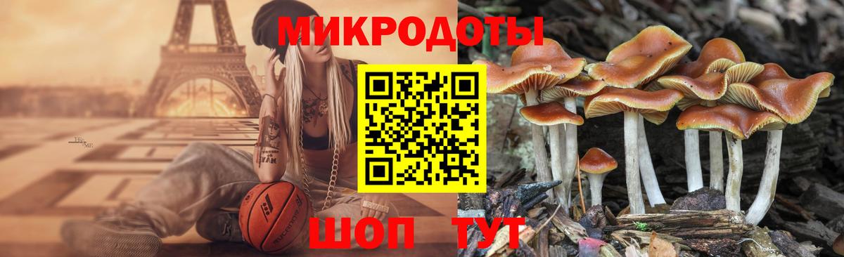 Топки  Псилоцибиновые грибы прущие грибы  Вход с VPN  Галлюциногенные грибы Magic Shrooms 